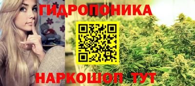 гидропоника Шебекино