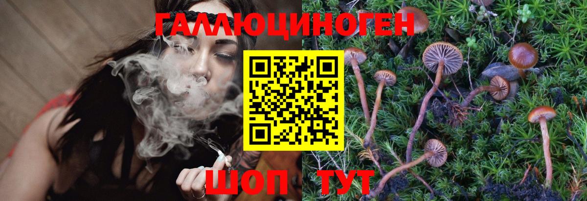 Галлюциногенные грибы Psilocybe Назарово